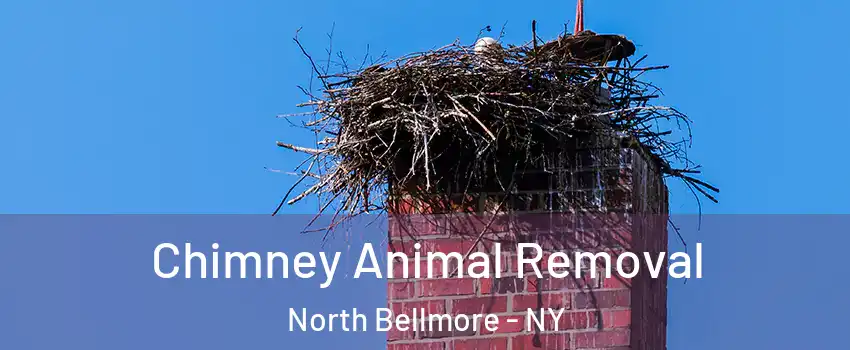 Chimney Animal Removal North Bellmore - NY