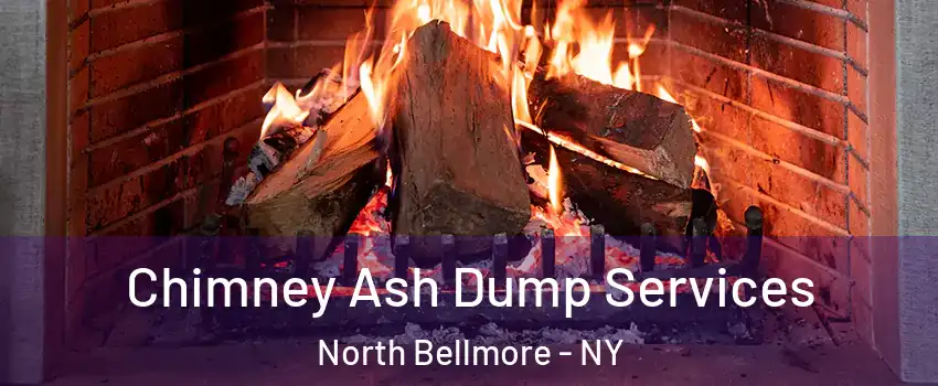  Chimney Ash Dump Services North Bellmore - NY