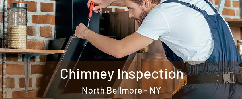 Chimney Inspection North Bellmore - NY