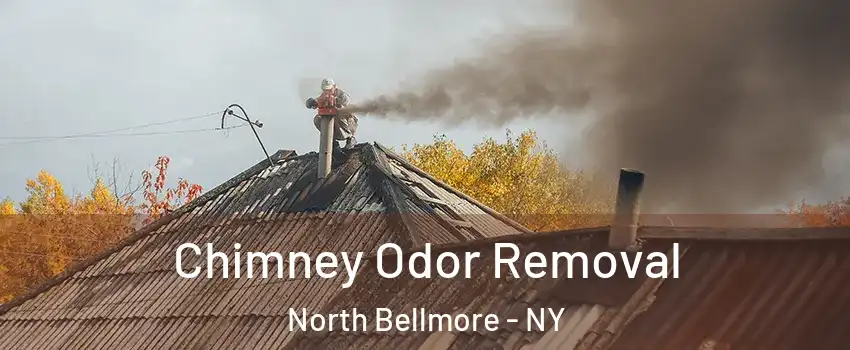 Chimney Odor Removal North Bellmore - NY