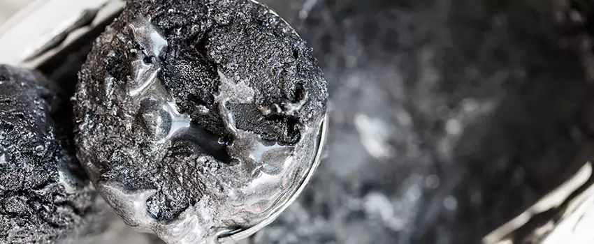 Clogged Dryer Vent Lint Cleaning in Holiday, Florida