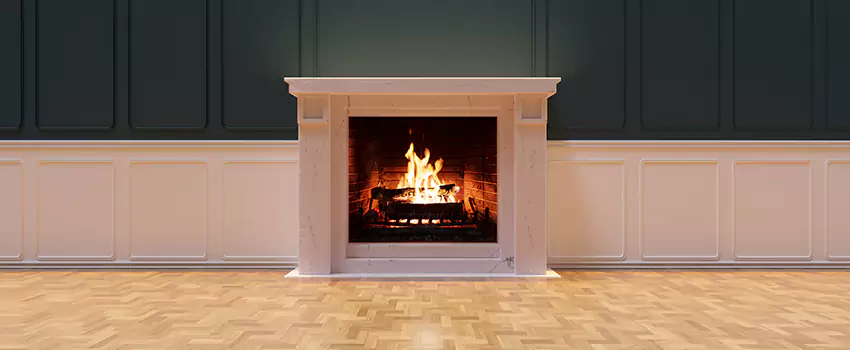 Napoleon Electric Fireplaces Inspection Service in Holiday, Florida