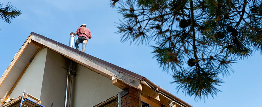 Birds Removal Contractors from Chimney in Holiday, FL